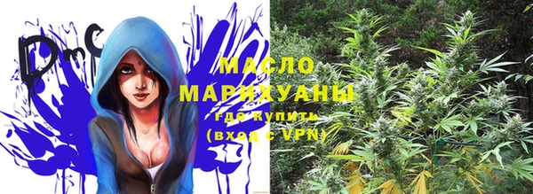 мдма Новодвинск